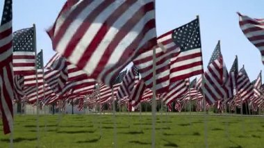 Düşük açılı Amerikan Bayrakları çimleri kaplayan bir parkta sallanıyor..