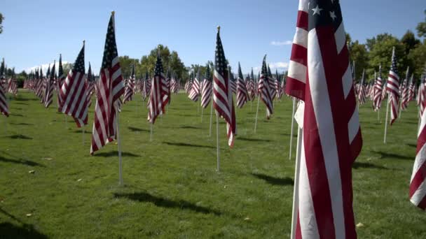 Vue Statique Des Drapeaux Tombant Lorsque Vent Souffle Légèrement Parc — Video