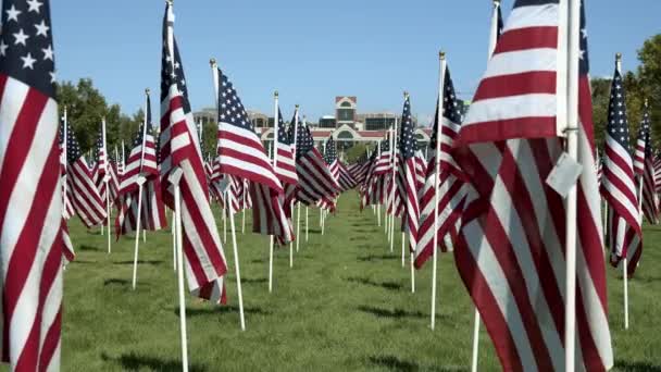 Дивлячись Міський Уряд Будівлі Через American Flags Парку Меморіалу — стокове відео
