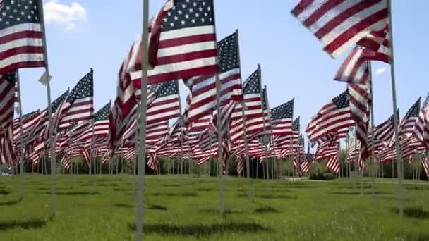 Χαμηλή Γωνία Άποψη Των Αμερικανικών Σημαιών Κυματίζει Στον Άνεμο Αργά — Αρχείο Βίντεο