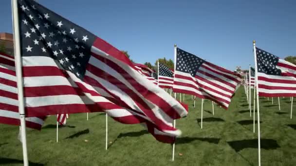 Exibição Acenar Bandeiras Americanas Parque Para Nunca Esquecer — Vídeo de Stock