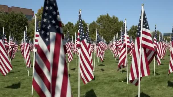 Panning Utsikt Över Hundratals Amerikanska Flaggor Parken För Minnesmärke — Stockvideo