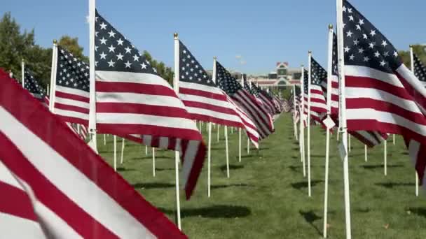 Olhando Através Exibição Bandeiras Americanas Acenando Vento Parque Memorial — Vídeo de Stock