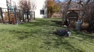 Otomatik çim biçme makinesi programlanmış sınırları keserken avluda yürümek.