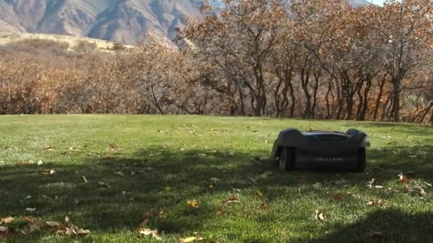 Robotmaaier Die Zichzelf Automatisch Voortstuwt Het Gras Snoeit Gebieden Waar — Stockvideo