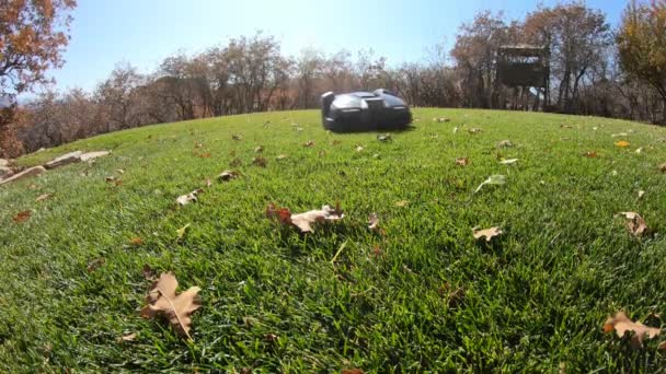 Vista Nivel Del Suelo Segadora Césped Robot Como Impulsa Mediante — Vídeos de Stock