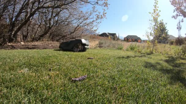 Robotmaaier Stopt Gaat Achteruit Terwijl Hij Gras Maait Tuin Terwijl — Stockvideo