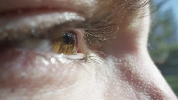 Macro Van Het Oog Van Vrouw Als Zonlicht Schijnt Haar — Stockvideo