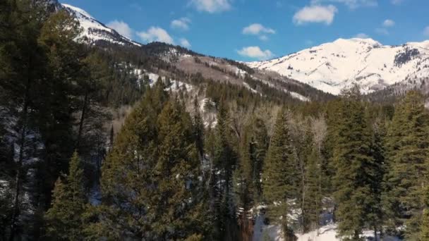 Vue des montagnes du ciel descendant dans la forêt dans les arbres épais .