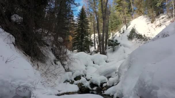 ユタ州の冬の間 雪の上の渓谷を飛ぶ — ストック動画