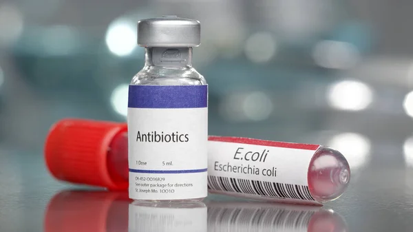 Αντιβιοτικά Και Φιαλίδιο Escherichia Coli Coli Στο Μεσαίο Εργαστήριο — Φωτογραφία Αρχείου