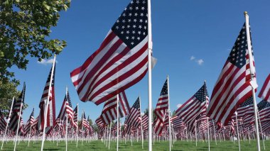 Flying low as American Flags blow in the wind as they cover a park during memorial display. clipart