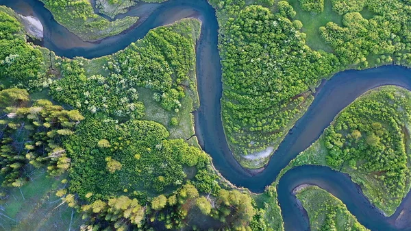 Madison Nehri 'nin South Fork' u Montana 'daki hava manzarasından yeşil çayırlarda dönüyor..