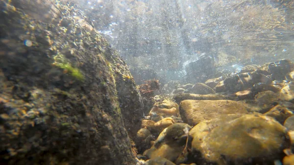 Onderwater Zicht Als Zonnestralen Schijnen Door Rivier Fonkelen Het Water Rechtenvrije Stockafbeeldingen