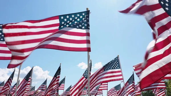 Flyr Lavt Gjennom American Flag Displayet Mens Blåser Vinden Solrik stockfoto