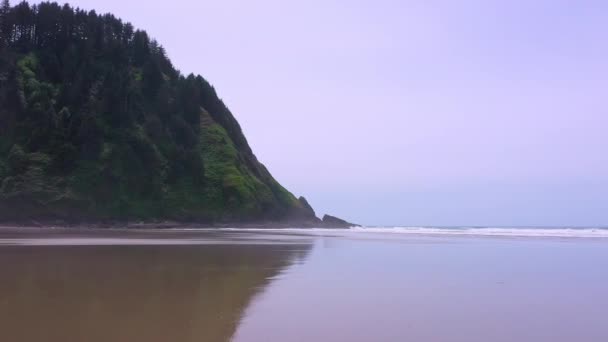 Oregon Sahilindeki Hobbit Sahili Üzerinde Alçaktan Uçuyor Kumların Üzerinde Dalgaların — Stok video