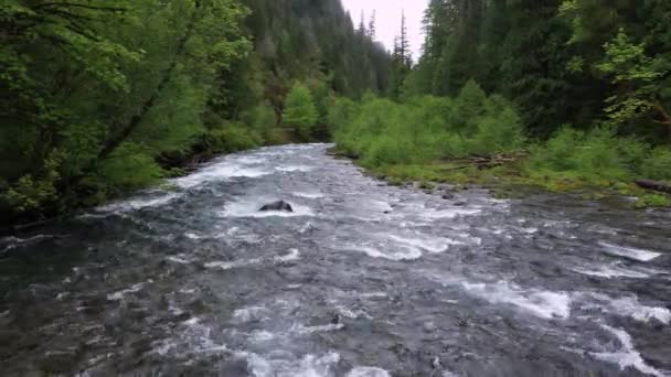 Der Fluss Fließt Flussabwärts Von Oben Betrachtet Der Landschaft Von — Stockvideo