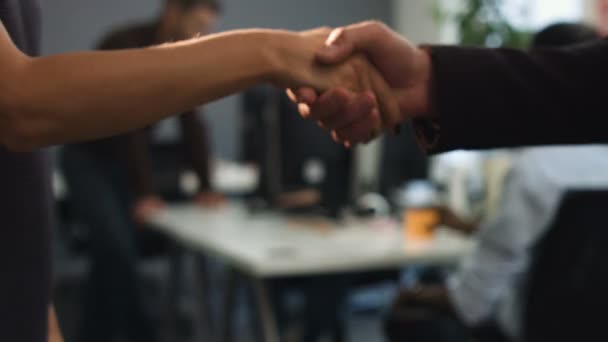 Twee business partners handshaking na succesvol project. — Stockvideo