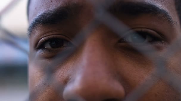 New York City: egy afro-amerikai fiú kosárlabda játékos portréja — Stock videók