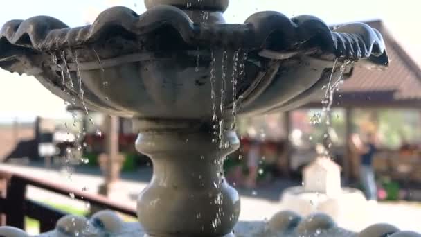 Beautiful fountain in city park, Baroque architecture Vienna sun — Stock Video