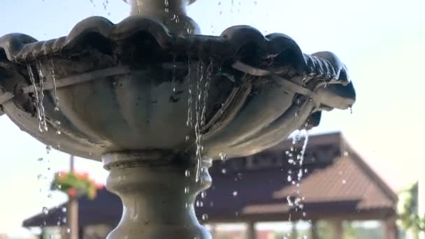 Beautiful fountain in city park, Baroque architecture Vienna sun — Stock Video