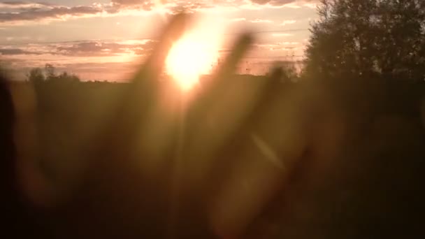 SUR LE TRAIN : Main humaine touchant la lumière du soleil à la main sur un beau fond de ciel. Un homme heureux regardant le soleil briller à travers ses doigts. Slow motion video footage caméra haute vitesse 240 ips slowmo, plein — Video