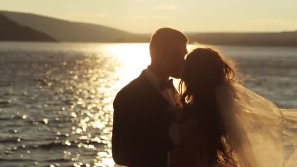 Portrét novomanželský pár v zelené slunné místo na venkově. — Stock video