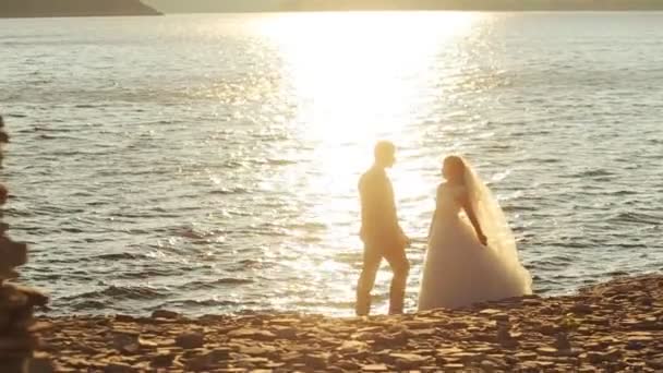 Yeni evli çift yeşil güneşli yerde kırsalında portresi. — Stok video