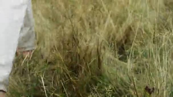 Courir pieds nus dans l'herbe détail de mans pieds en pantalon de lin blanc — Video