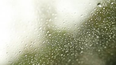 Yağmur pencerede yağmurlu günde bırakır. Yeşil bulanık arka plan. Araç penceresi