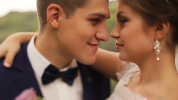 Feche a noiva feliz e noivo gentilmente abraçando e beijando no parque de verão. Casamento casal — Vídeo de Stock