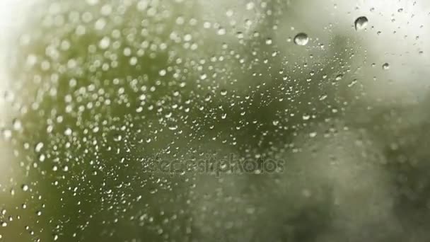 An Regentagen fällt Regen auf das Fenster. grüner verschwommener Hintergrund. Autoscheibe eingeschlagen — Stockvideo