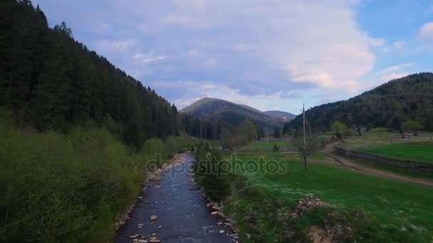 Aerial view. beautiful view from above. View of mountain river near the forest. Blue clouds. Flying over the river and green fields — Stock Video