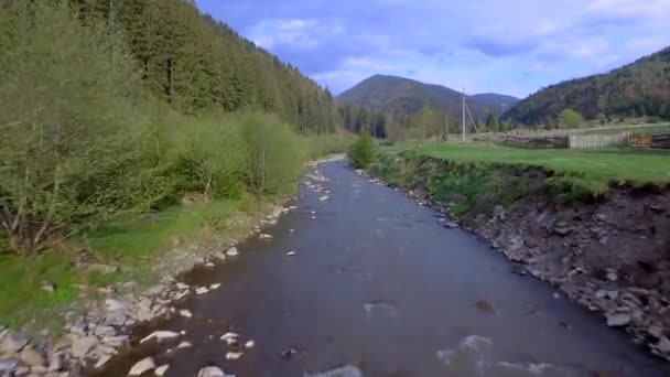 Aerial view. View from above. View of mountain river near the forest. Blue clouds. Flying over the river and green fields — Stock Video