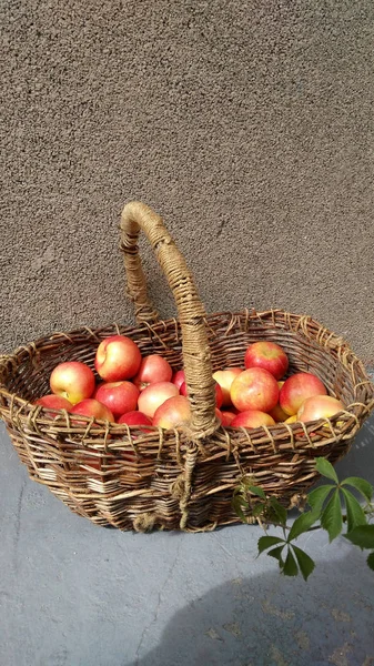 Sepet gri beton duvar arka planda elma ile. Close