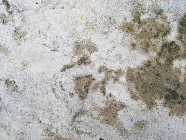 Wet cement floor