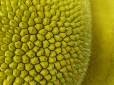 Yeşil nefesi cilt kapalı