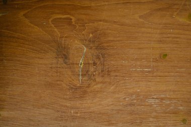 ahşap doku arkaplanı