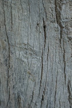 ahşap doku arkaplanı