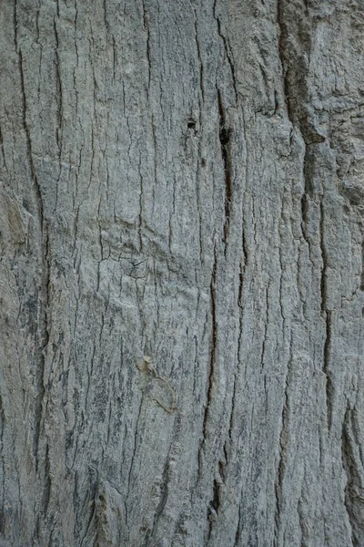 ahşap doku arkaplanı