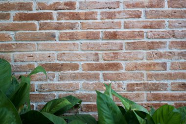 tuğla duvar dokusu altyapısı.