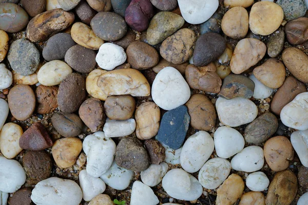 Small Stone Texture Background — Stock Photo, Image