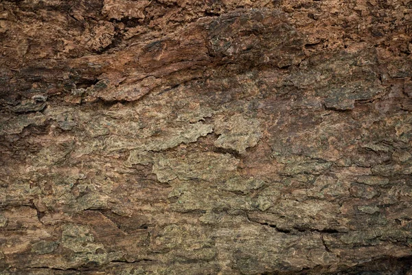 Ahşap doku arkaplanını kapat.