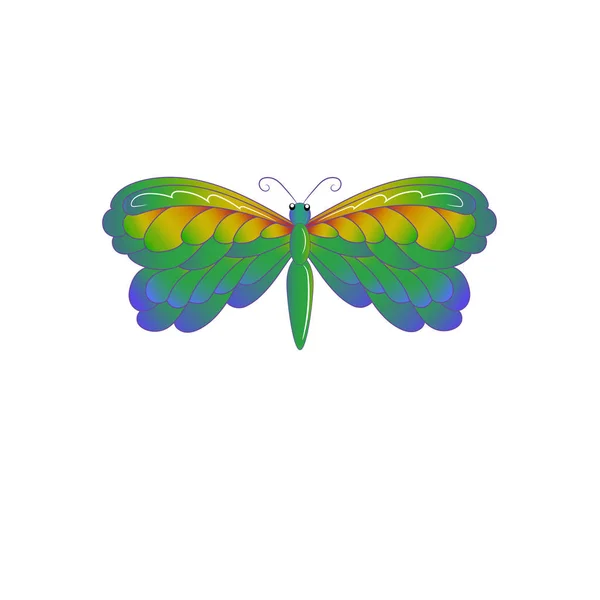 Beyaz arka plan gökkuşağı kelebeği