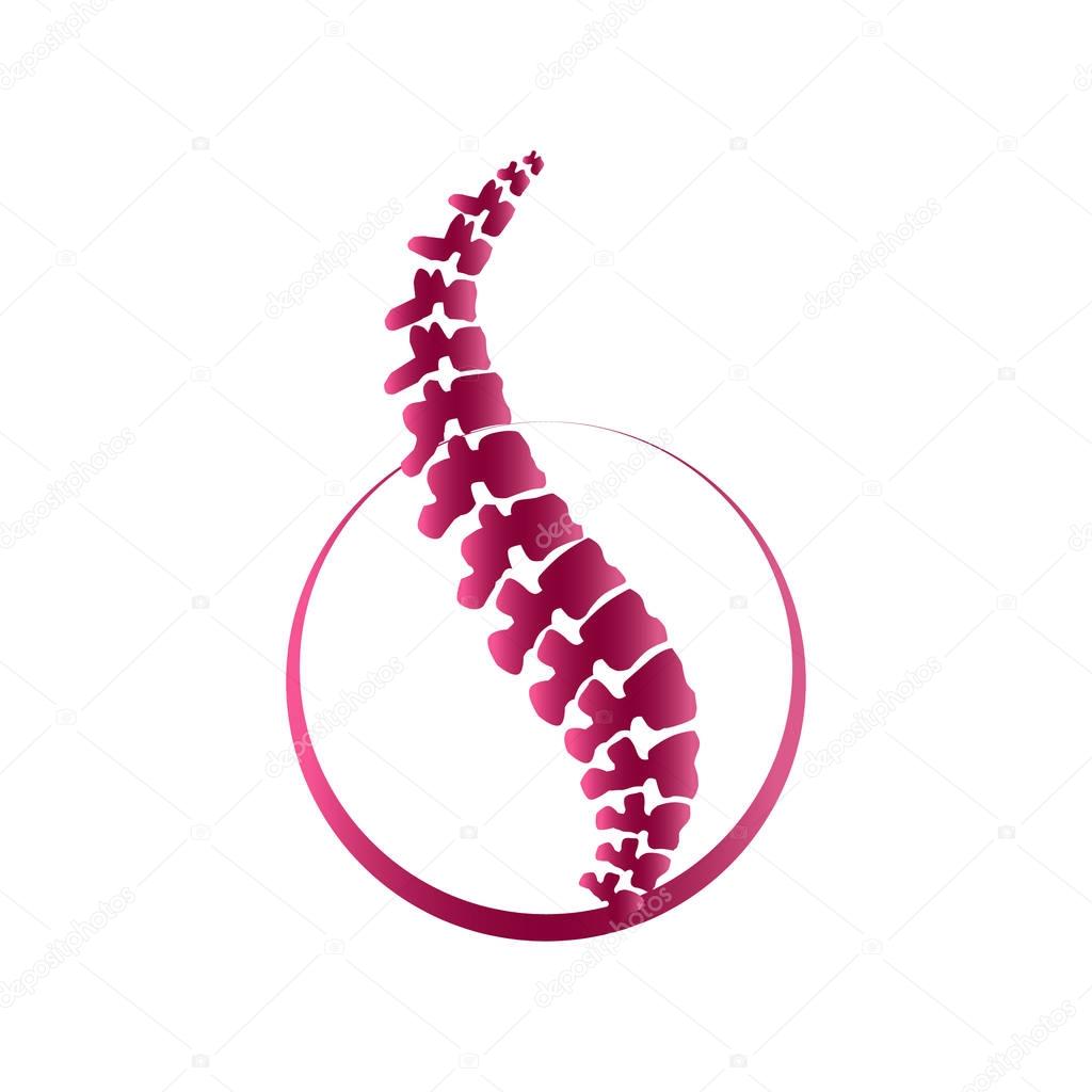 Vector  spine isolated silhouette illustration. 
