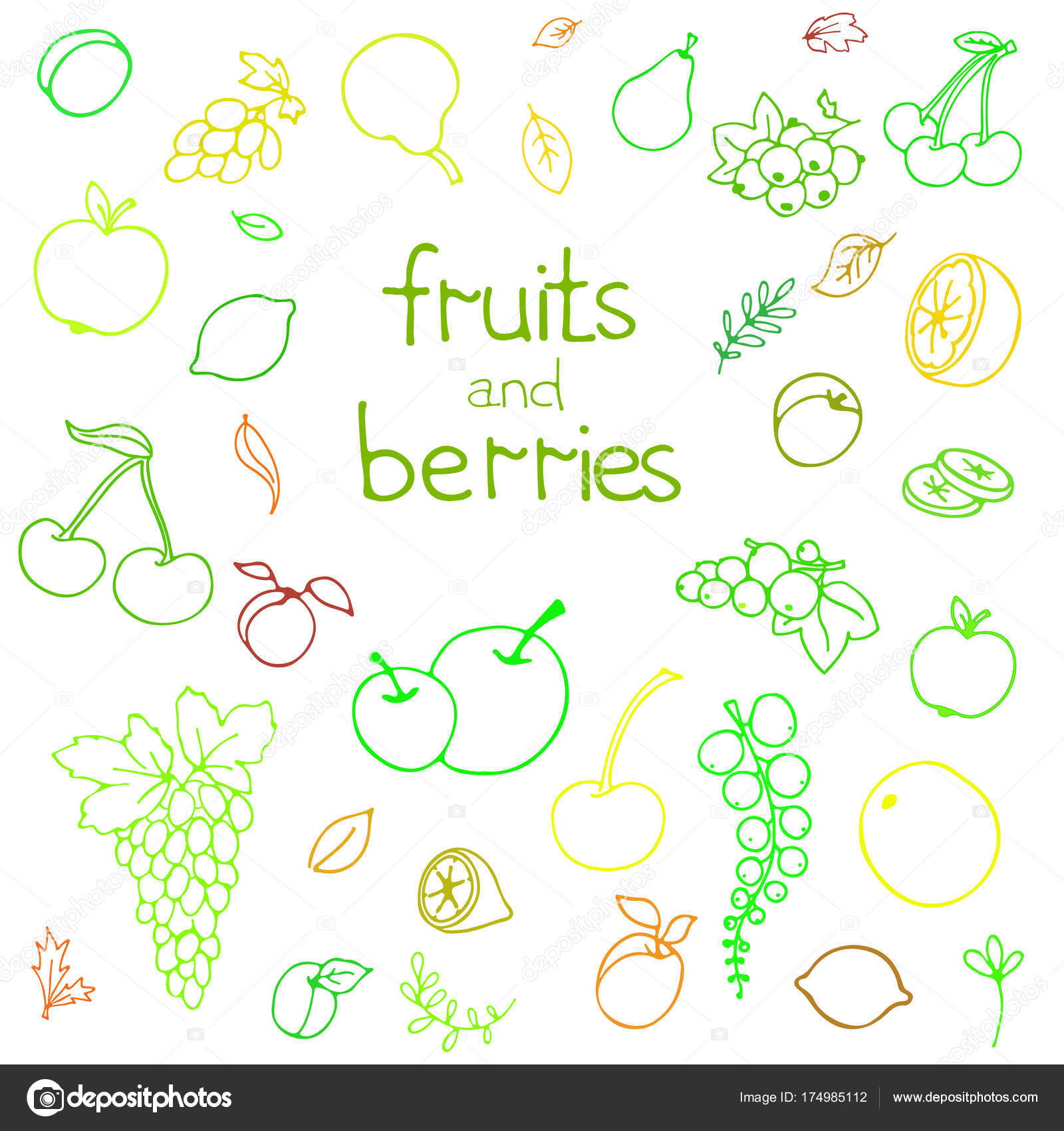 Raccolta di frutti succosi del fumetto e berry Illustrazione di vettore Set di icone di bacca e frutta colorata Isolato su bianco