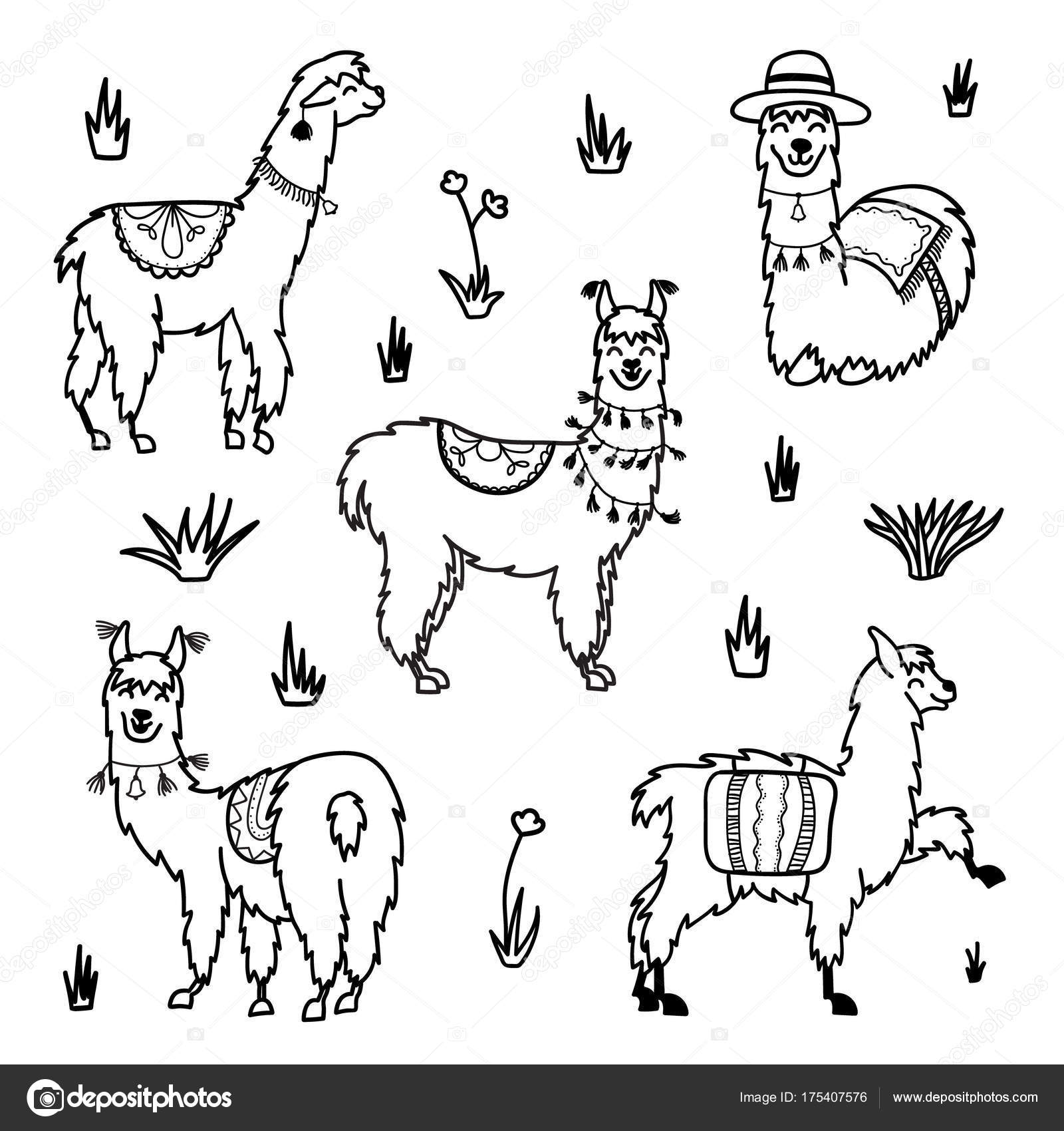 Vector Set Of Characters Illustration Of South Americas Cute Lama With Decorations Isolated Outline Cartoon Baby Llama Hand Drawn Peru Animal Guanaco Alpaca Vicuna Drawing For Print Fabric Stock Vector Image By C