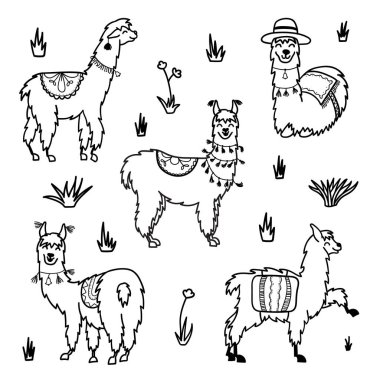 Vektör karakter kümesi. Güney Amerika şirin lama süslemeleri ile Illustration. İzole anahat karikatür bebek Lama. El çekilmiş Peru hayvan çok, alpaka, vicuna. Çizim yazdırma, kumaşlar için.