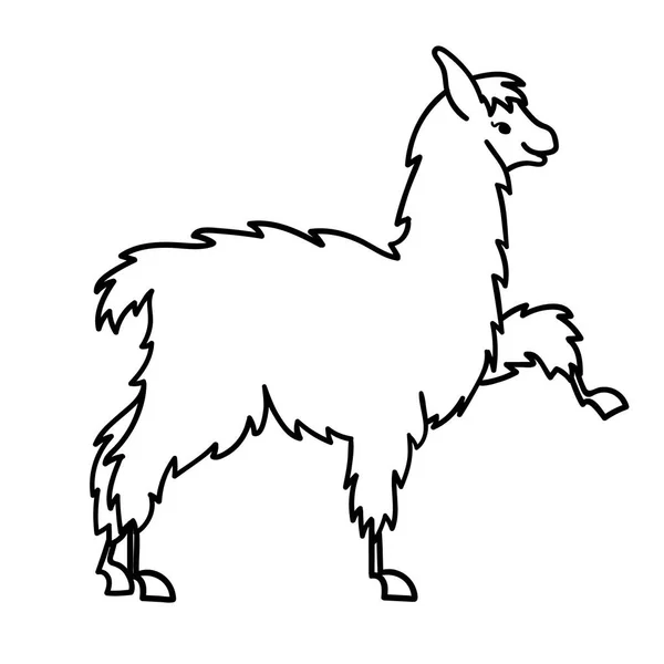 Ilustración vectorial de lindo personaje de América del Sur lama con decoraciones. Esquema aislado de dibujos animados bebé llama. Dibujado a mano Perú animal guanaco, alpaca, vicuna. Dibujo para impresión, tela . — Archivo Imágenes Vectoriales