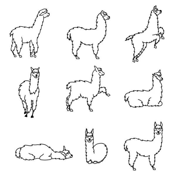 Vector set tekens. Illustratie van Zuid-Amerika schattig lama met decoraties. Geïsoleerde overzicht cartoon baby lama. Hand getekend Peru dierlijke guanaco, alpaca, Vicuña. Tekening voor afdrukken, weefsel. — Stockvector